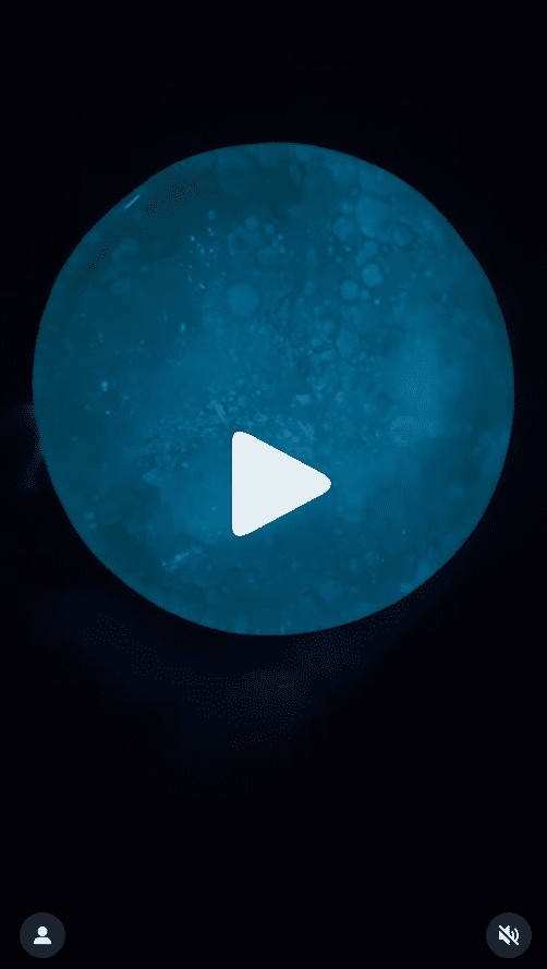 Wood Brain's Moon Carving