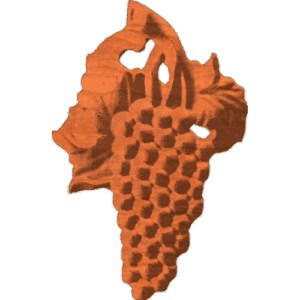 Grape Bunch 001 - CSF