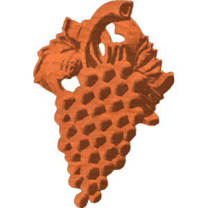 Grape Bunch 002 - CSF