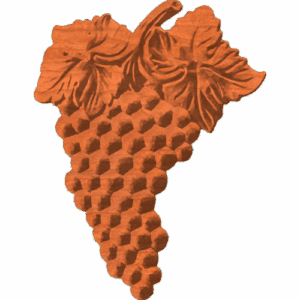 Grape Bunch 004 - CSF