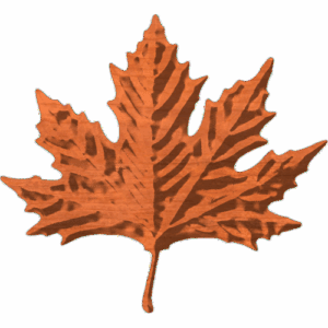 Maple_Leaf_6x55