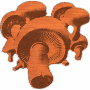 Mushroom