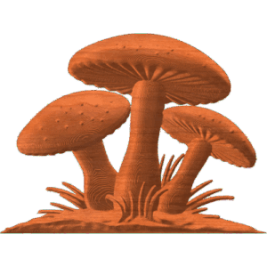 MUSHROOM 2