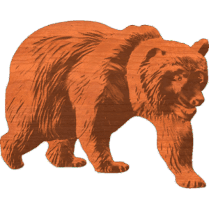 Grizzly Walking 5x6 - 1