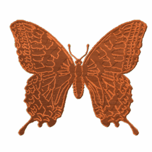 Butterfly 02