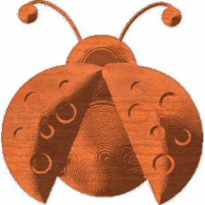 Ladybug-03