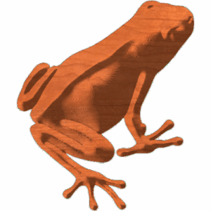 Frog4x5JH_2