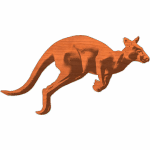 Kangaroo5x27SSF