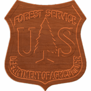 Forest Service patch - CSF