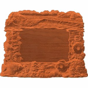 Frame with Sea Scape