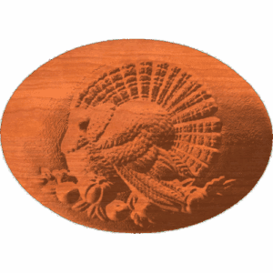 Turkey Scene on Oval