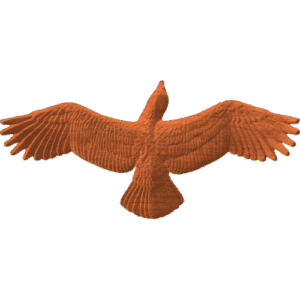 Eagle or Hawk Soaring
