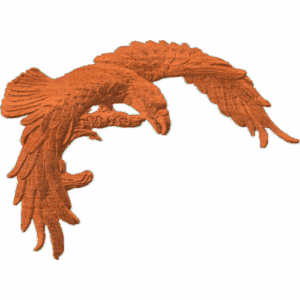 Eagle ready for Prey