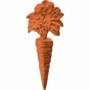 Carrot - 1