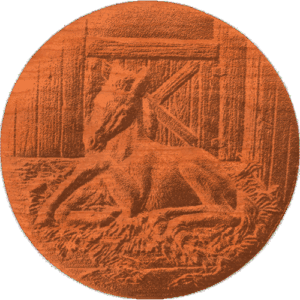 Foal in stall - on circle