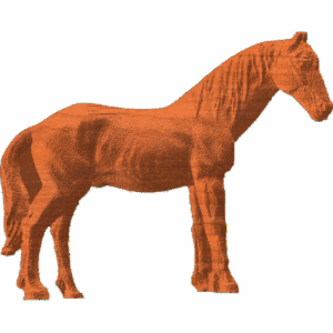 Horse - 3