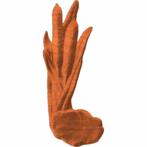 Cattails Behind Rock