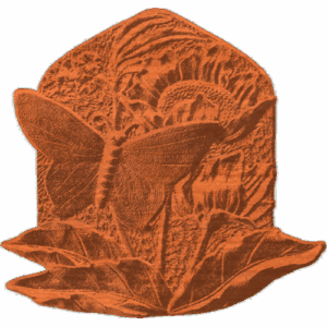 Butterfly On Flowers - 1