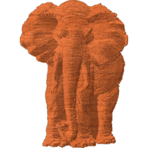 Elephant - Front View - 1