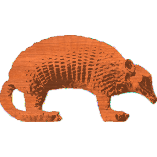 Armadillo