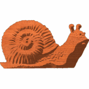Snail