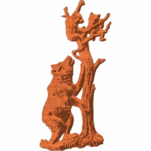 Mama Bear with 2 cubs in a tree