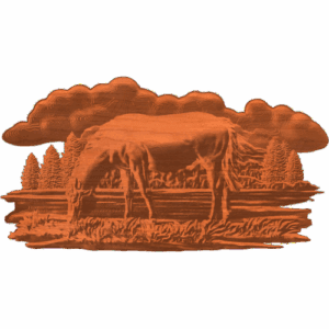 WILD HORSE ON THE LAKE