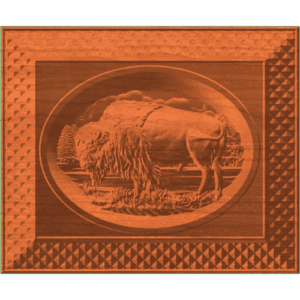 FRAMED BISON