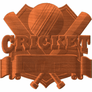 TEAM CRICKET