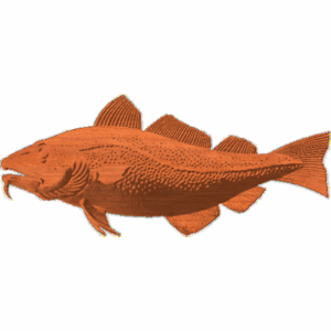 CODFISH