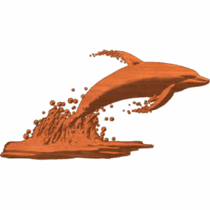 DOLFIN 1