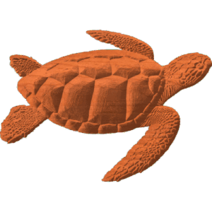 Sea Turtle PTN