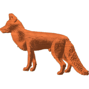 Fox Pattern