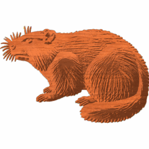 Groundhog Pattern