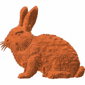 Rabbit Pattern