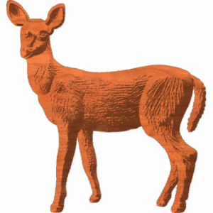 Young Deer Pattern
