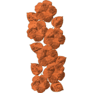 Hibiscus Flower group