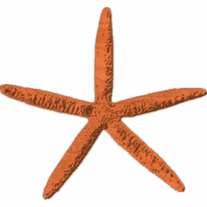Starfish-02