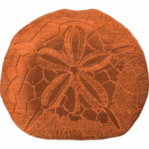 Sand Dollar-02