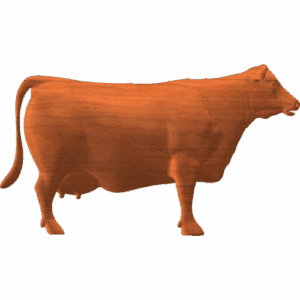 Cow Profile