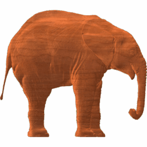 Elephant Profile