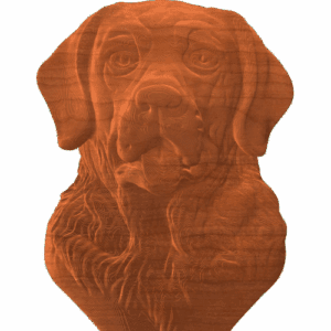 Labrador