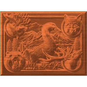 Framed American Wildlife