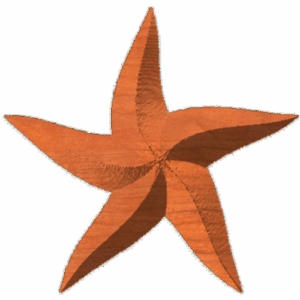 Five Point Spiral Star