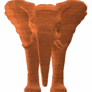 Elephant01