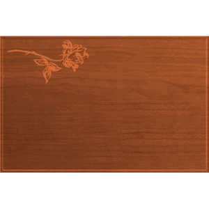 Sign Blank 049 - CSF