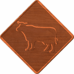 Cow Xing - CSF