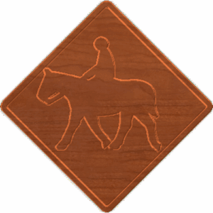 Horse Xing 001 - CSF