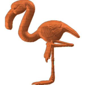 Flamingo01
