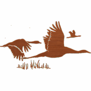 Goose Silhouette